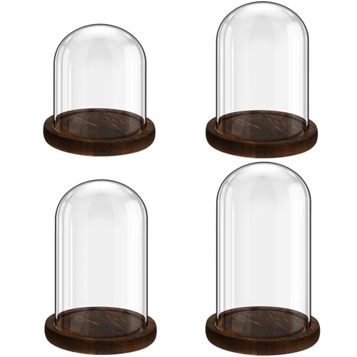 Suclain 4 Pcs Glass Display Dome Cloche Clear Dome Cloche with Wood Base Tabletop Jar Display Case for Home Office Wedding(Coffee Brown,4 Mixed Size)