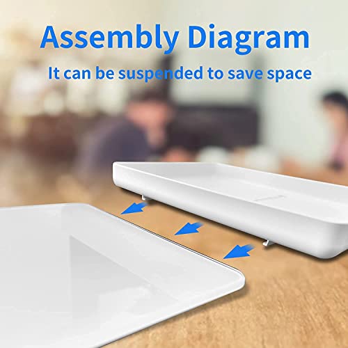 Digital-Pet-Scale-for-Small-Animal-Whelping-ScaleMini-Precision-Gram-Weight-Balance-Scale-High-Precision-1g-Suitable-for-Newborn-Pets