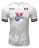 ARZA Jersey Mexico Sultanes de Monterrey 100% Polyester White/Grey Made in Mexico (US, Alpha, Large, Regular, Regular, White/Grey)