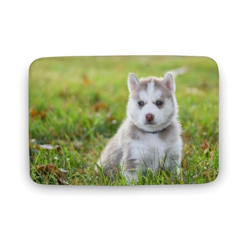 Č  L  oX}bg   z փ}bg  O    ~ Aj LN^[ @}bg   ʏ