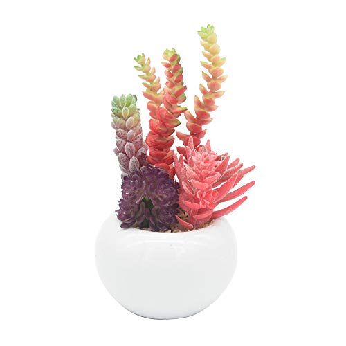 観葉植物 ハーブ 室内の人気商品 通販 価格比較 価格 Com