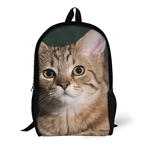 Sac à dos d'école chat au design imprimé en 3D relief pour style unique - 5
