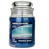 Yankee Candle 241407 Scented Fragrance Candles American Home Colllection Luxury Classic Large 19oz G