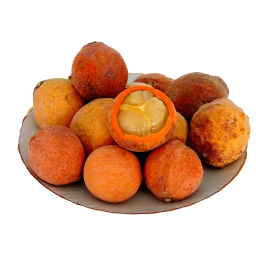 Genérico, Muda de Bacupari 50 a 80cm AMK - Plantas Online