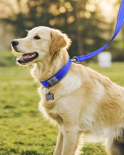 Image of Joytale Dog Collar for Large Dogs, Neoprene Padded and Adjustable, Reflective Wide Heavy Duty Pet Collars with Durable Metal Belt Buckle for Walking, Navy Blue, L