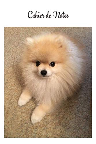  Cahier de Notes: Spitz. Carnet de notes chien Loulou de Poméranie. Joli cahier de 100 pages lignées numérotées avec sommaire format 6x9. Joli livret ... notebook A5, carnet d’écriture, d’adresse.