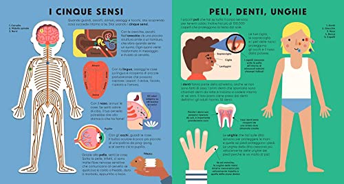 Il Corpo Umano. Ediz. A Colori - 4