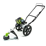 SYNERGY PROFESSIONAL LIFE