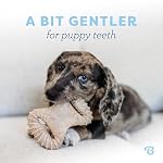 Benebone Puppy 2-Pack Dental Chew/Wishbone Dog Chew Toys, Made in USA, Real Bacon Flavor - Image 2