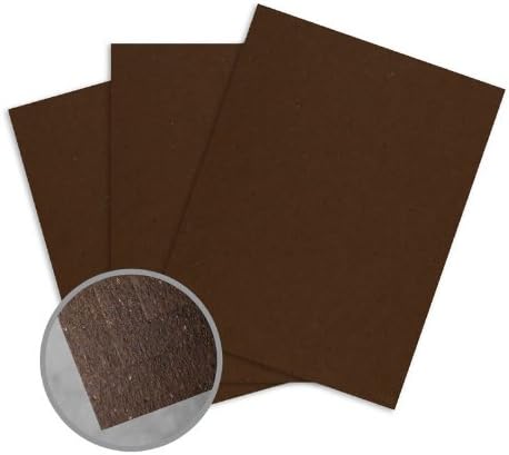 Bier Bock Card Stock - 8 1/2 x 11 in 92 lb Cover Smooth 100 per Package