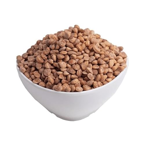 Charoli Chironji Cheraunji Nut Premium Quality Loose 50gm-400gm - HerbsnSpiceit (100g)