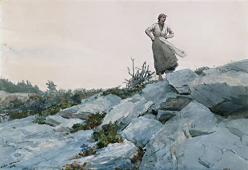 Pintura decorativa en lienzo de Winslow Homer, cuadro de pared de 60x90cm estilo vintage para salón