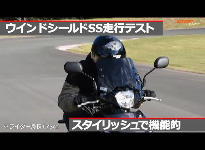 Amazon | デイトナ(Daytona) アドレス110(15-20)専用 スクリーン