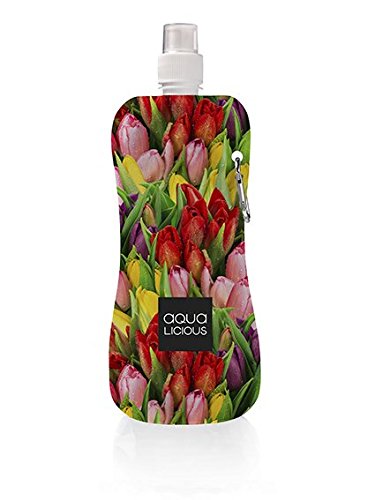 Aqua Licious 6355 Faltbare Trinkflasche mit Karabiner-Tulip