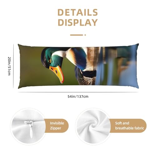 Housse de coussin canards colverts de qualité supérieure et esthétique épurée