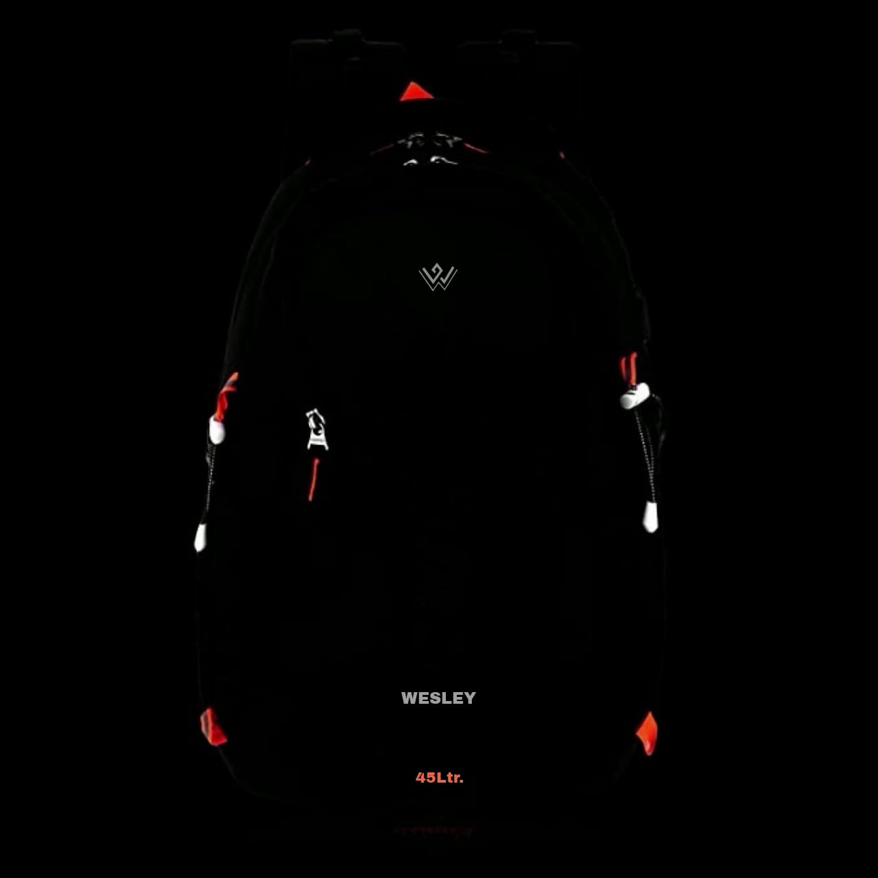 Wesley Spartan Unisex Travel Hiking Laptop Bag fits Upto 17.3 inch with Raincover and Internal Organiser Backpack Rucksack College Backpack 11 41vfCA6DtQL. SL1280