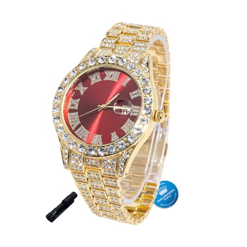 Halukakah Diamonds Watch Iced Out for Kids - 18K Real Gold Plated
