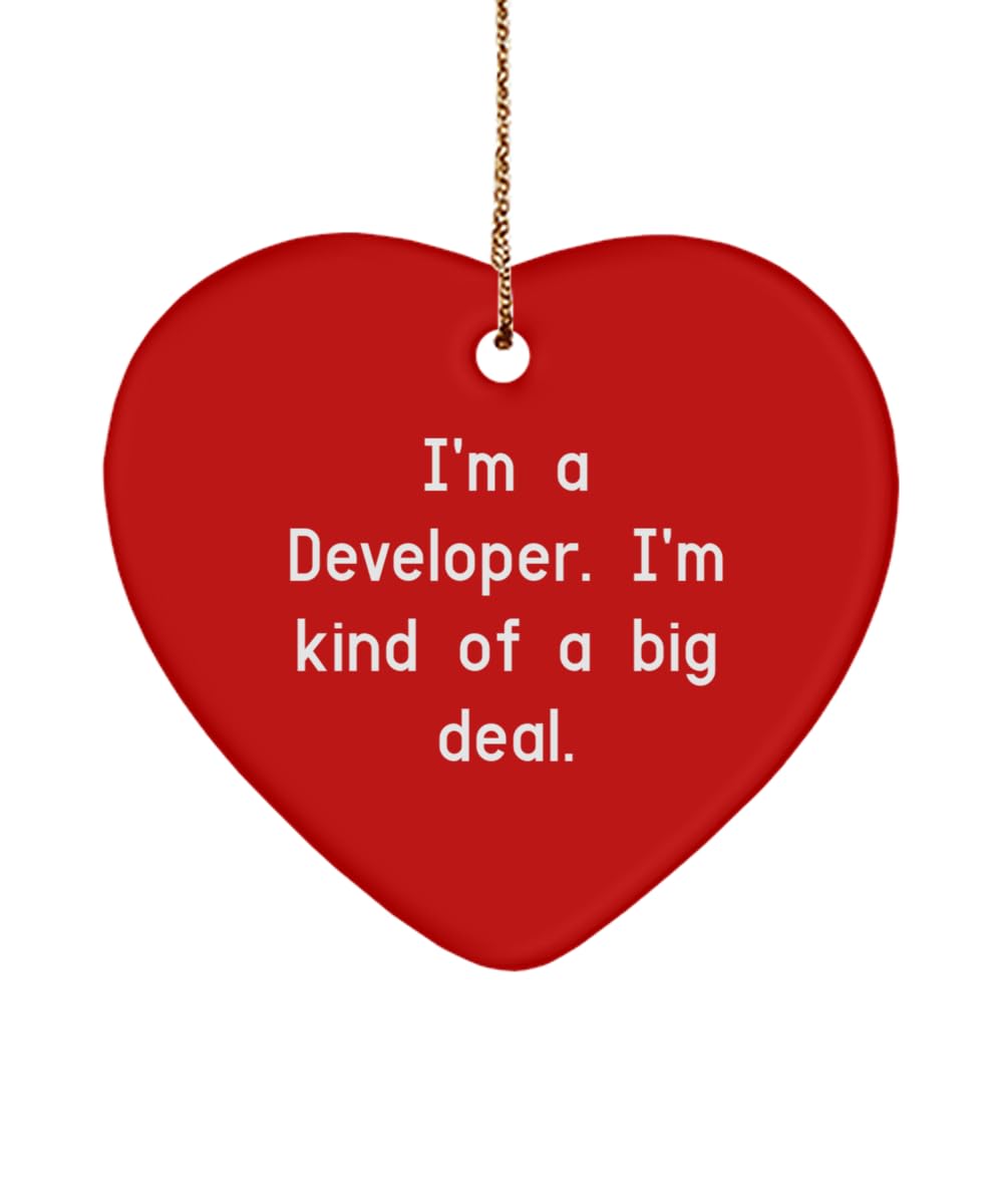 Fun Developer Gifts, I'm a Developer. I'm Kind of a Big, Birthday Unique Gifts, Heart Ornament for Developer from Team Leader, Developer Mug, Coffee Mug, Travel Mug, Gift Card, Office Supplies, Desk