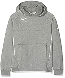 Hoody PUMA Hoody Sudadera con Capucha, Infantil, Gris (Medium Gray Heather White), 116