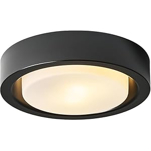 COTULIN Black Flush Mount Ceiling Light,13 Inch Matte Black Ceiling Lighting Fixture,2-Light Modern Round Metal Lamp with White Frosted Glass Shade for Hallway Bedroom Closet Outdoor
