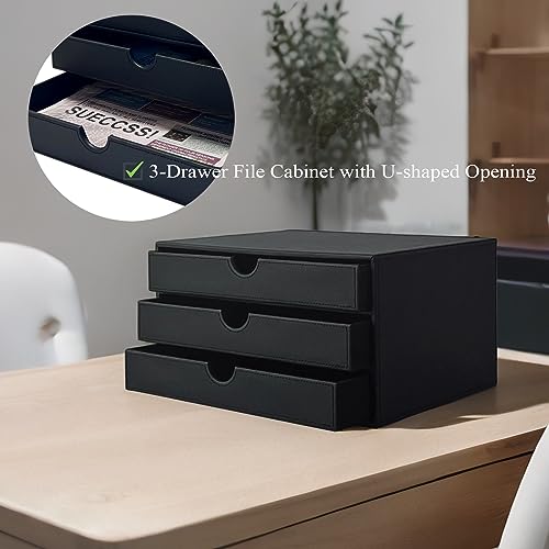 Unionbasic Document Organizer, 3-Drawer File Cabinet Document Storage Box, Office Desktop Filing Organizer, Black #TOP2