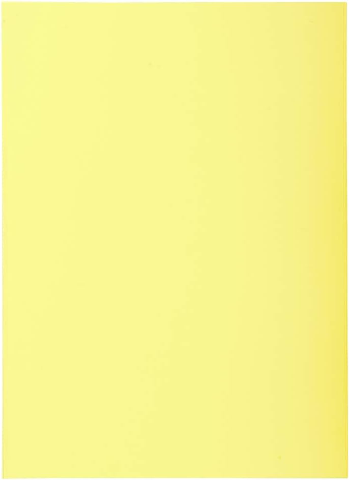 Exacompta 22 x 31 cm, Square Cut Folders, 60 GSM - Orange, Pack of 250