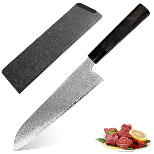 Utaki aVFtiCt a 7.9nE238mm Qgn69w_}XJXiVG-10|cj p+ChYh̔p` Jo[t