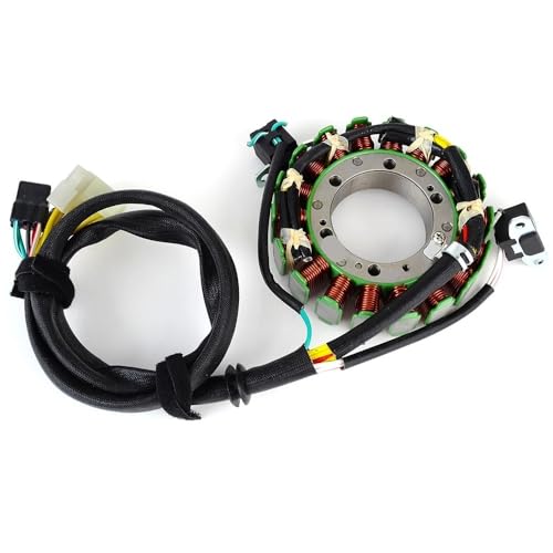 Bobine de stator pour Switchback et Pro RMK expédition neige 144 155