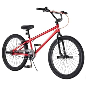 RoyalBaby Kids BMX Bike 20 24 Inch, Professional Aluminum