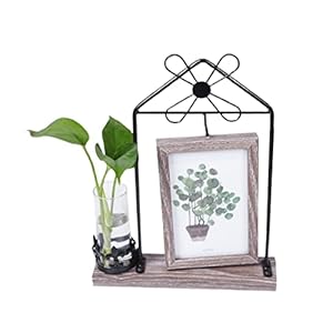 Rustikaler Kinderzimmer-Bilderrahmen mit Hydrokulturflasche