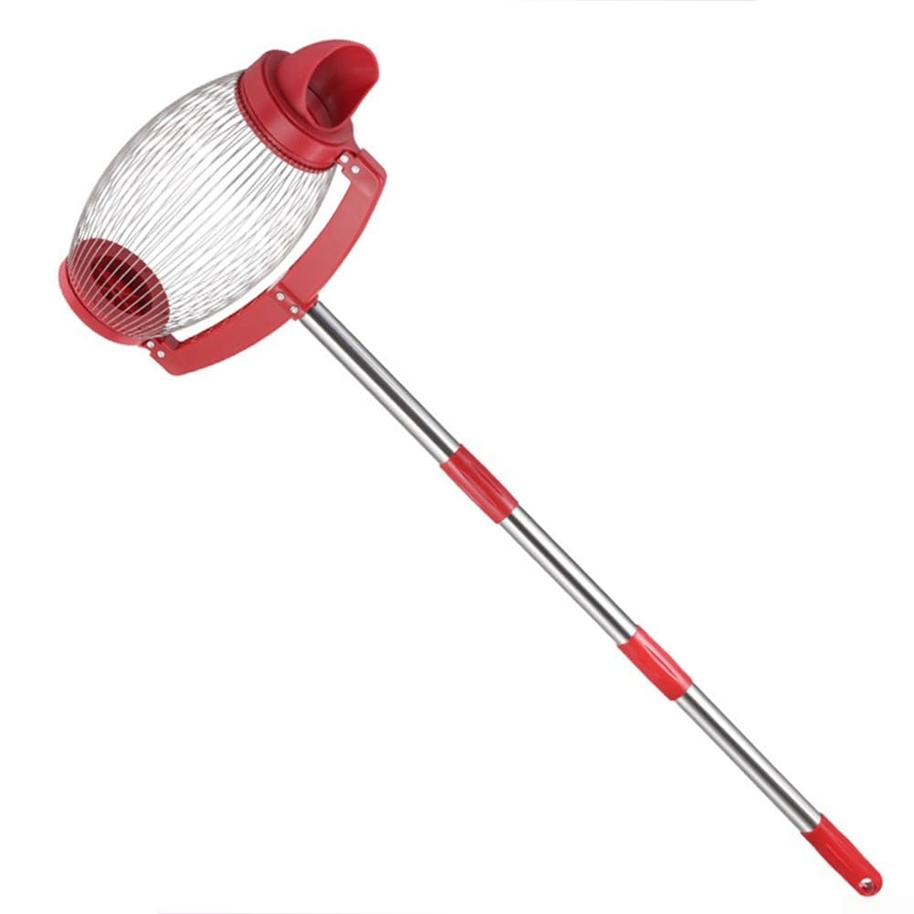 Colector de nueces con construcción de acero inoxidable para recoger nueces, castañas y pelotas de golf en suelo plano o desigual (modelo de inclinación lateral)