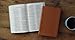 ESV Value Thinline Bible (TruTone, English Saddle): Holy Bible, English Standard Version