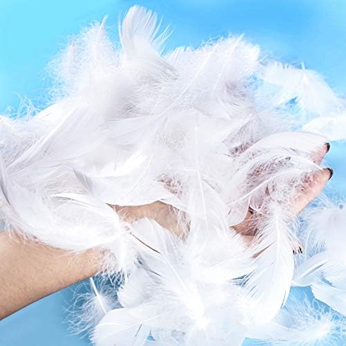 BTNOW 800 Pieces White Feather Fantasy Ornament Create White Decoration