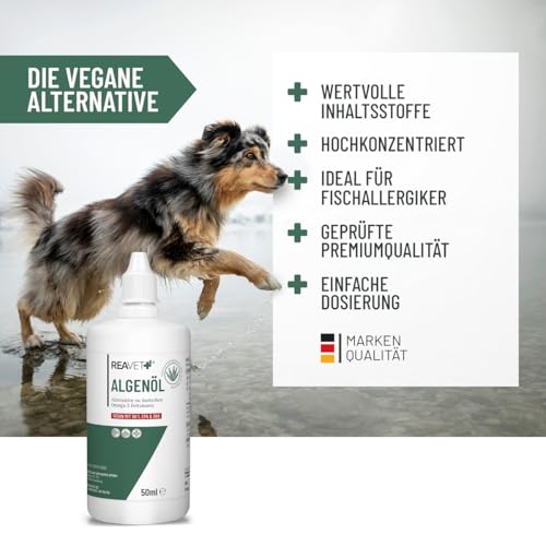 ReaVET Algenöl für Hunde, Katzen, Pferde 50 ml I Hochdosiert & Vegan Omega-3 Öl I Futteröl aus Algen unterstützt Gelenke, Stoffwechsel, Fell & Haut