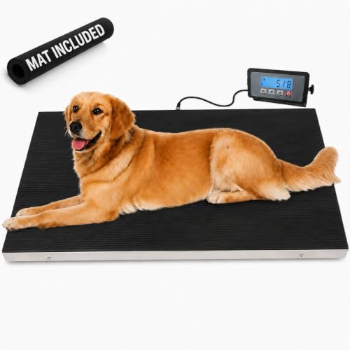 IBE Supply 660 lb Vet Scale