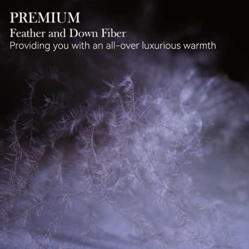 Lesnncier Luxurious All Season Goose Down Feather Fiber Comforter Queen Size Duvet Insert 1200 Thread Count 700+ Fill Power 100% Cotton Shell(Queen, White) #TOP6
