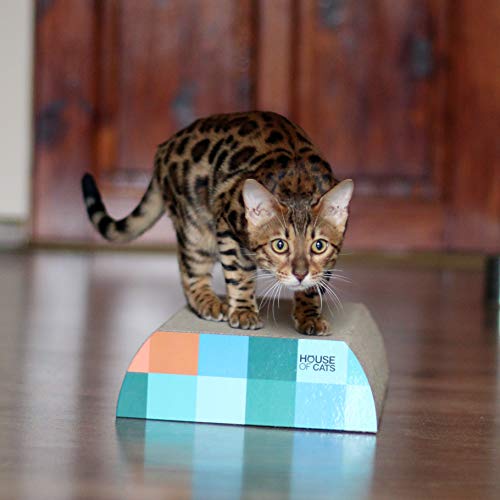 Arbre à chat et griffoir résistant Flat Cube pour préserver vos meubles - 2