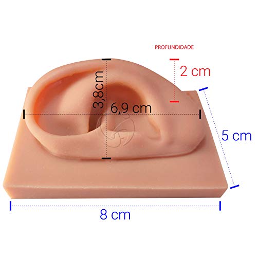 Modelo Orelha de Silicone Acupuntura Auricular 2 un