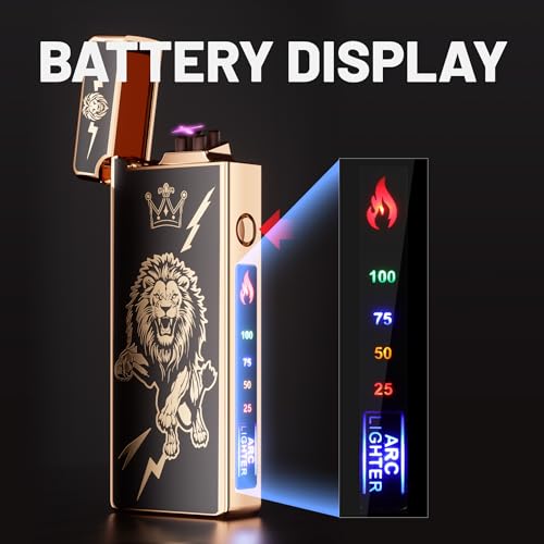 Elektrisches Feuerzeug, Batterieanzeige USB-Feuerzeug Plasma Wiederaufladbare Winddicht & Flamme, Dual Bogen mit Batterieanzeige für Kerzen/Grill (Löwe)