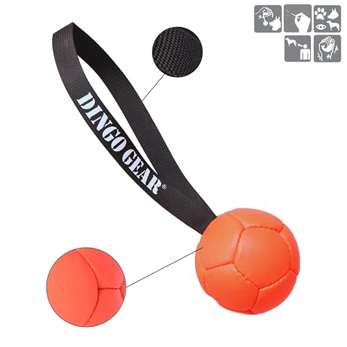 Dingo Gear Ball mit Schlaufe gefüllt vollball aus Eco Leder Durchmesser von 8 cm Hundespielzeug Trainings Ball Hundetraining Spaß für Hund Orange S02684