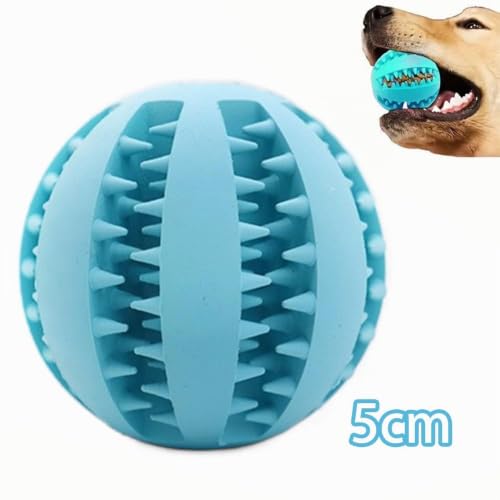 Miaomiao Spielsachen-Set mit Futterball und Snackball aus Naturkautschuk - Zahnpflege für Kleine, Mittelgroße und Große Hunde