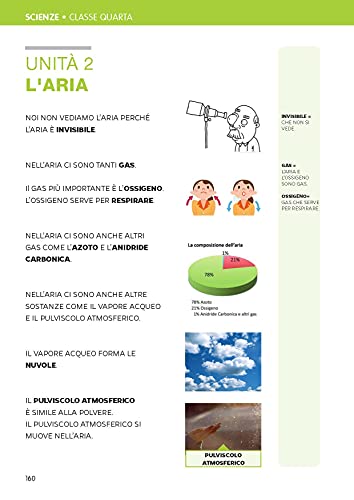 Studiare Facile. Classe Quarta. Percorsi Di Storia, Geografia E Scienze Semplificati E Facilitati. Per La Scuola Elementare (Vol. 2) - 24