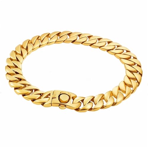 Collier de chien en métal doré pour sublimer le style de votre compagnon