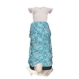 Blue Paisley Puppy Hoodie Pet Clothing,Folk Flower Buta Motifs,Hoodies Stylish Streetwear Sweatshirt