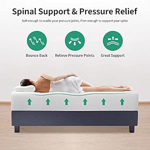 Pay Lesshere 12 Inch Queen Green Tea MattressBreathable Mattress for Cool Sleep Pressure ReliefMedium Firm MattressesCertiPUR US CertifiedBed in a BoxPressure Relieving 12 inch Queen