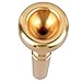 Trumpet Mouthpiece, Trumpet Mouthpiece Replacement, Versatile, Smooth, Superior Sound Quality for Wind Instrument Trumpet Players (Gold 5C)