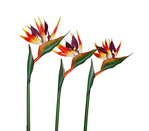 GLSATEMAN Bird of Paradise Artificial Flowers Rubber Strelitzia 32'in Long Stem Flower 3 Pcs,Suitable for DIY Home Decoration Party Theme Display (Orange red)
