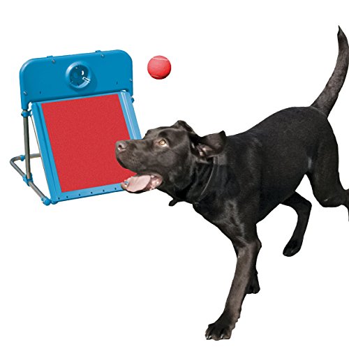 Flyball Box for sale in UK 14 secondhand Flyball Boxs