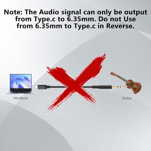 Cable USB C a Jack 6.35mm TRS Audio 1.0 m miniatura 2