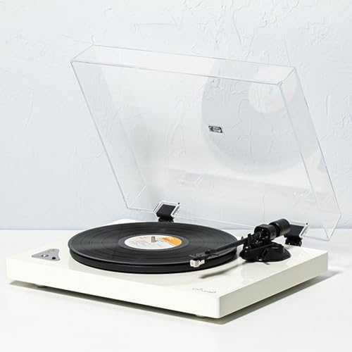 Tapa antipolvo para tocadiscos y cepillo para cuidar vinilos en el salón con TN420 5